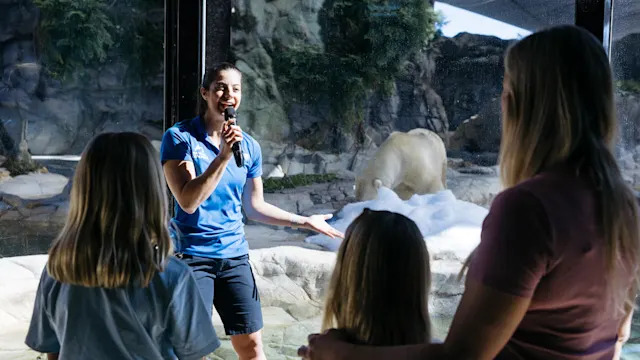 Polar Bear Educational Talk